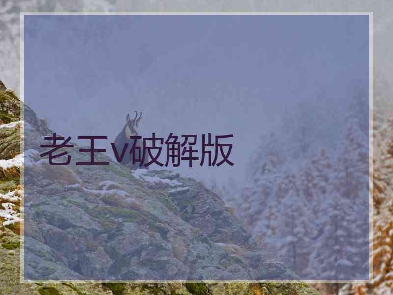 老王v破解版