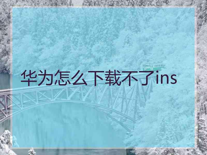 华为怎么下载不了ins