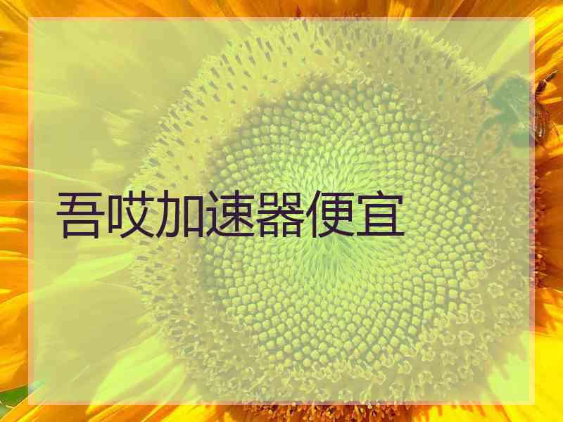 吾哎加速器便宜