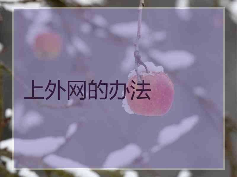 上外网的办法