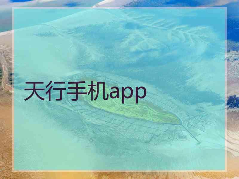 天行手机app