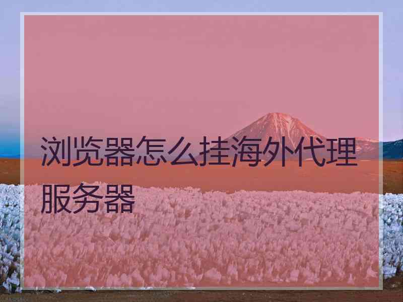浏览器怎么挂海外代理服务器