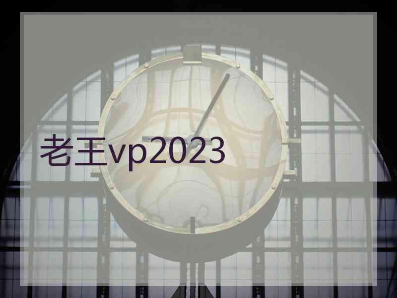老王vp2023