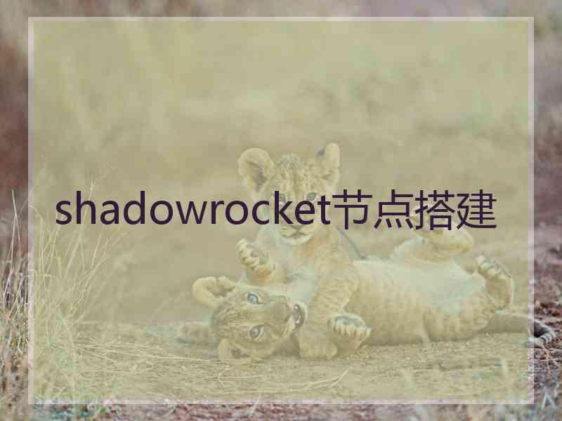 shadowrocket节点搭建