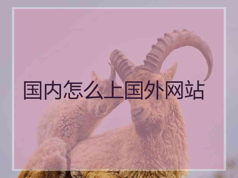 国内怎么上国外网站