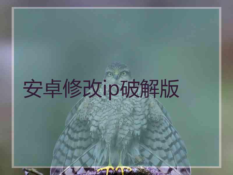 安卓修改ip破解版