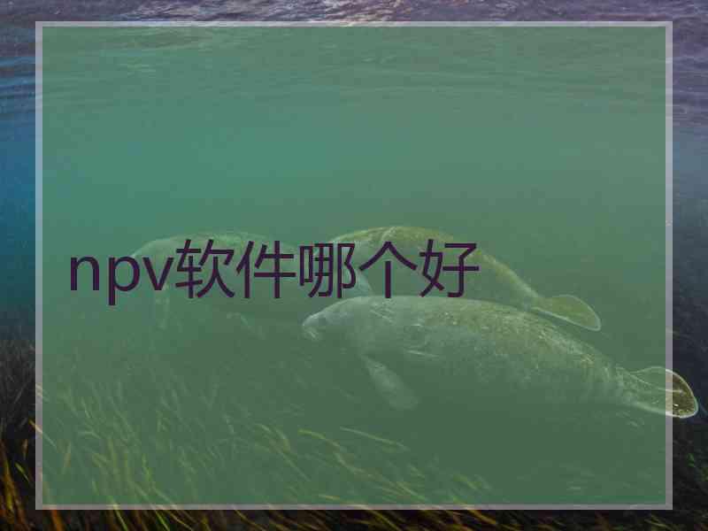 npv软件哪个好