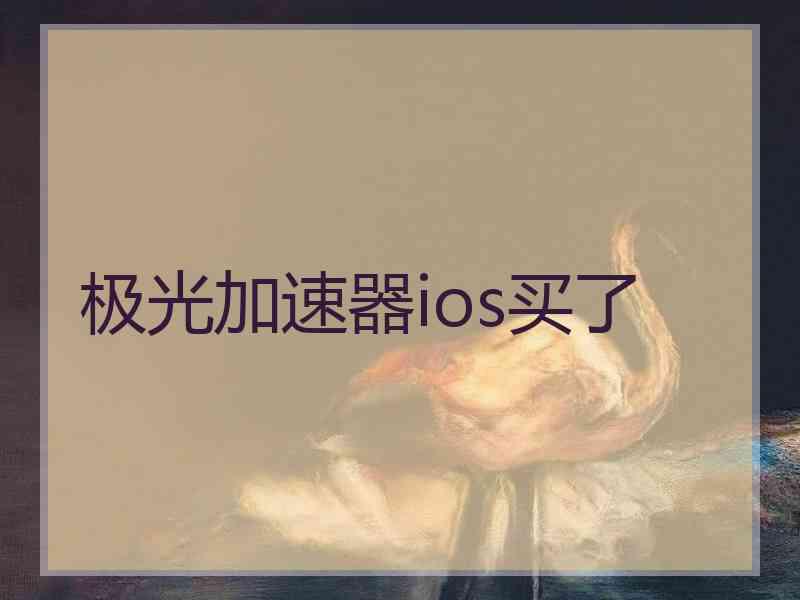极光加速器ios买了