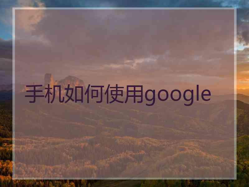 手机如何使用google
