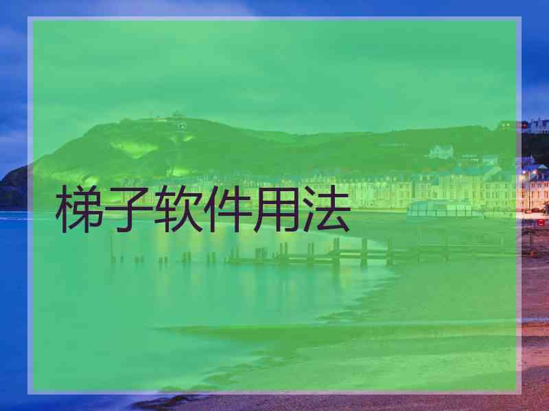 梯子软件用法