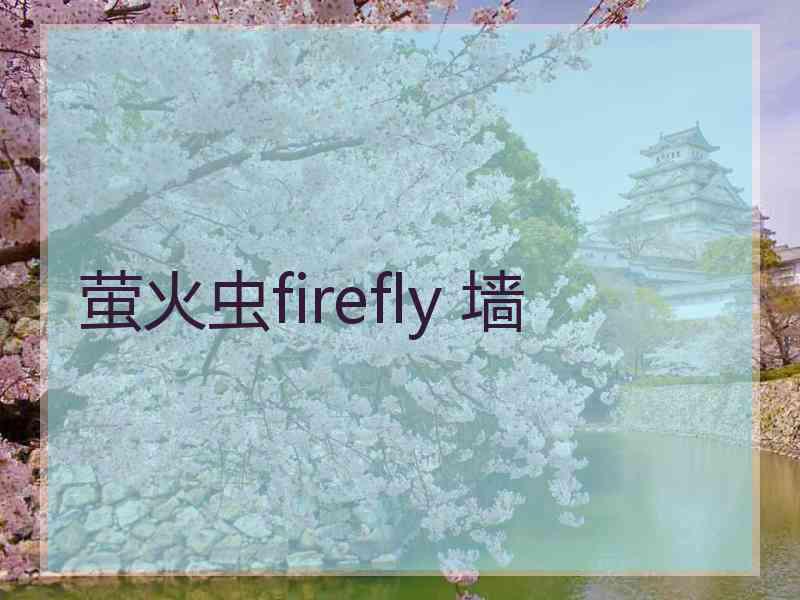 萤火虫firefly 墙