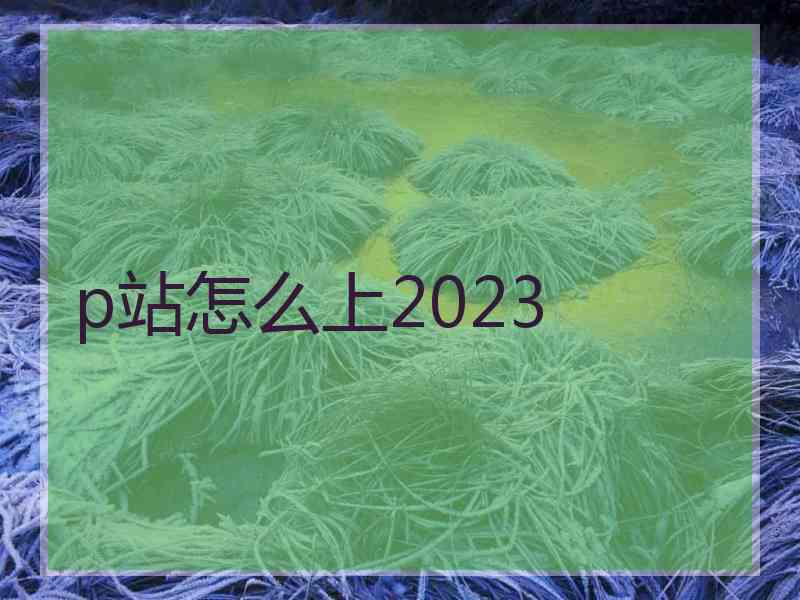 p站怎么上2023