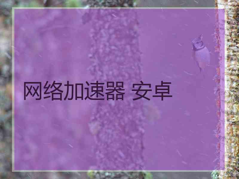 网络加速器 安卓