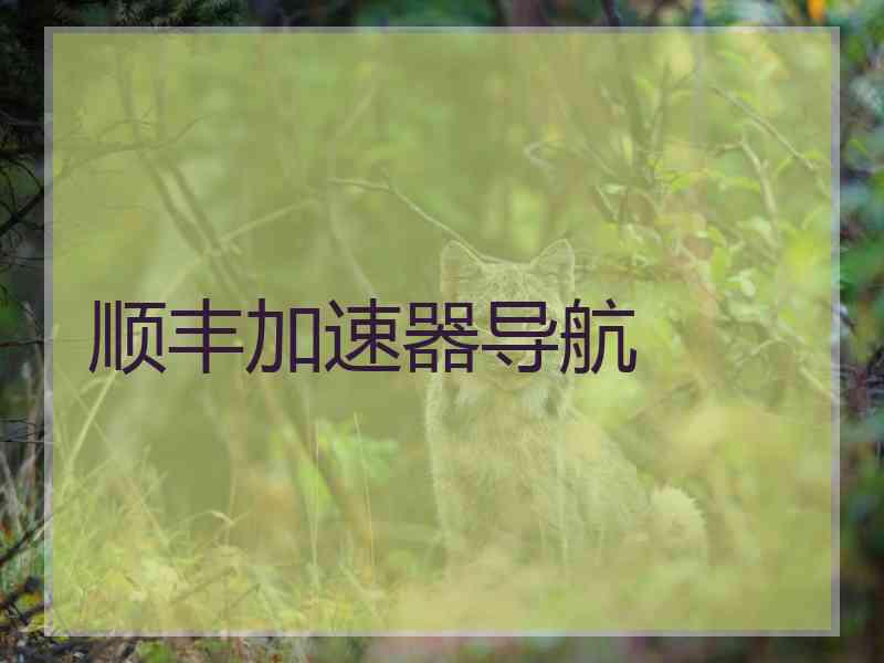 顺丰加速器导航