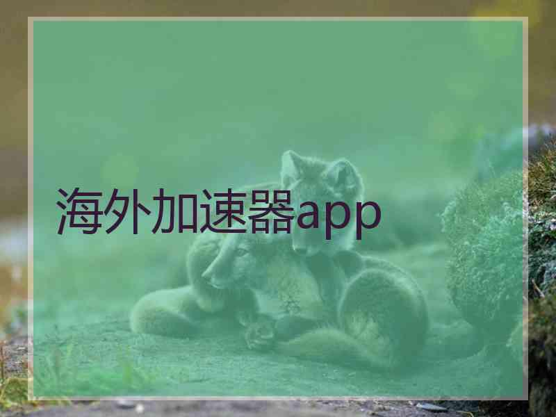 海外加速器app