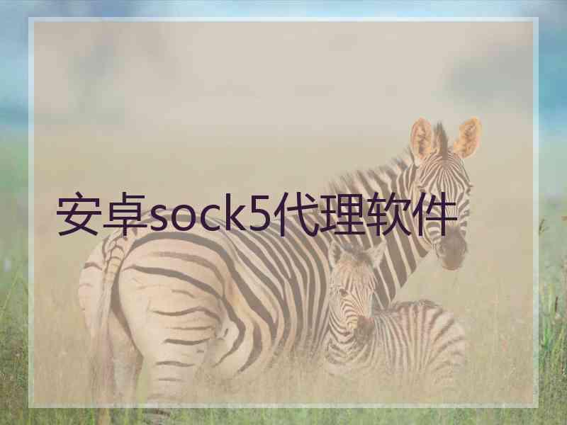 安卓sock5代理软件