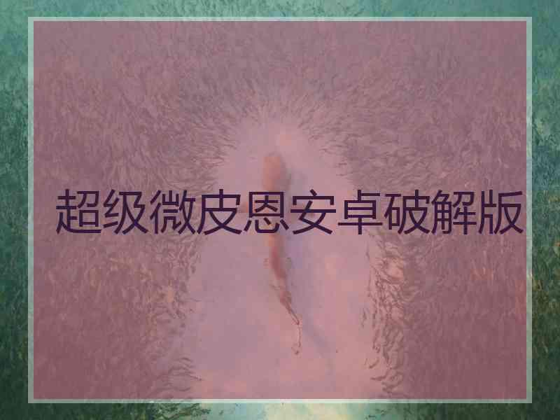 超级微皮恩安卓破解版