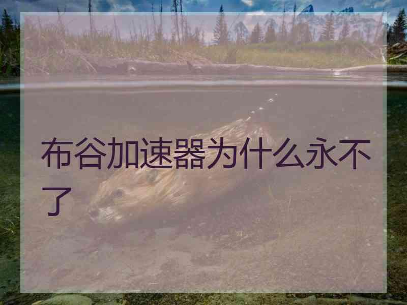 布谷加速器为什么永不了