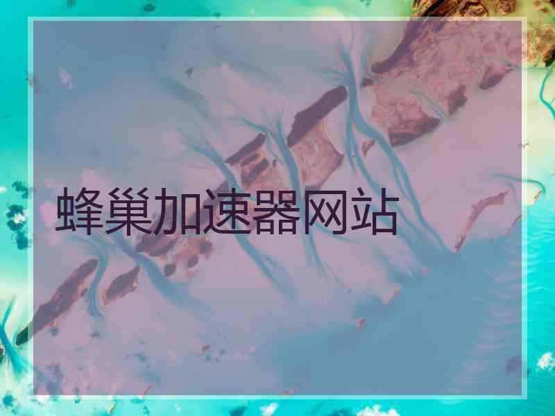 蜂巢加速器网站