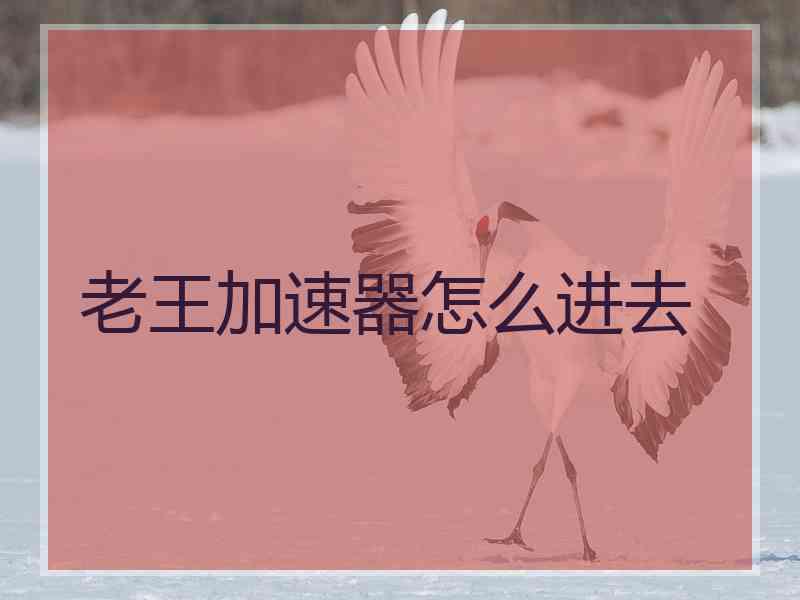 老王加速器怎么进去