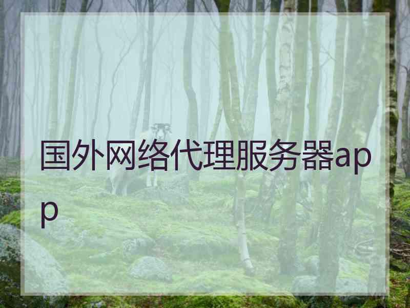 国外网络代理服务器app