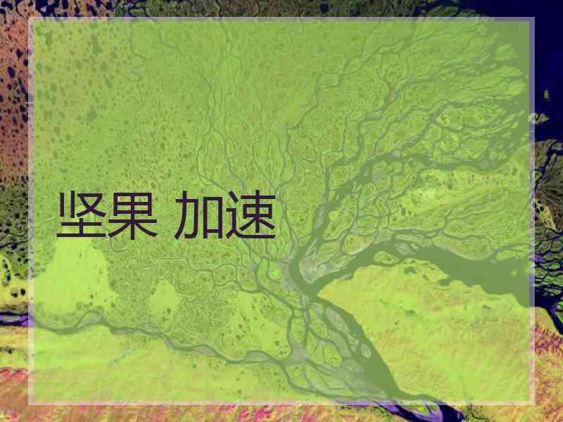 坚果 加速