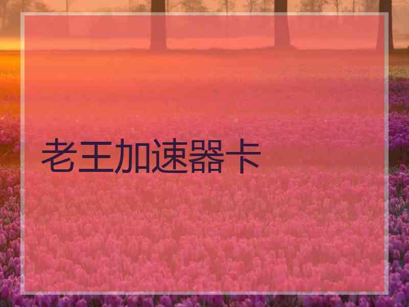 老王加速器卡