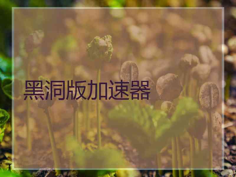 黑洞版加速器