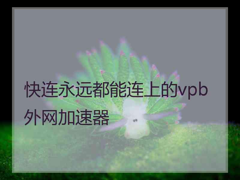 快连永远都能连上的vpb外网加速器