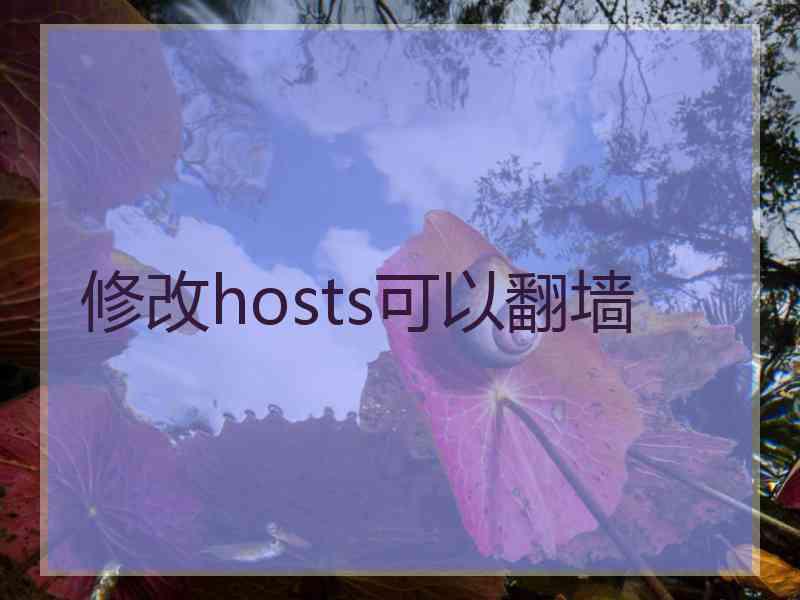 修改hosts可以翻墙