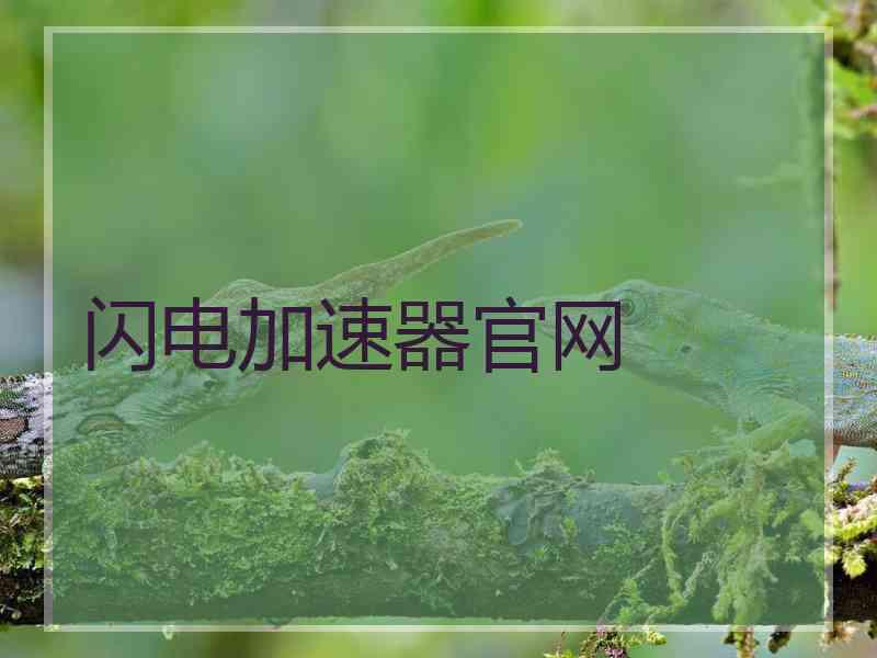 闪电加速器官网