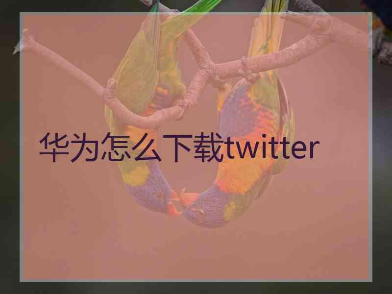 华为怎么下载twitter