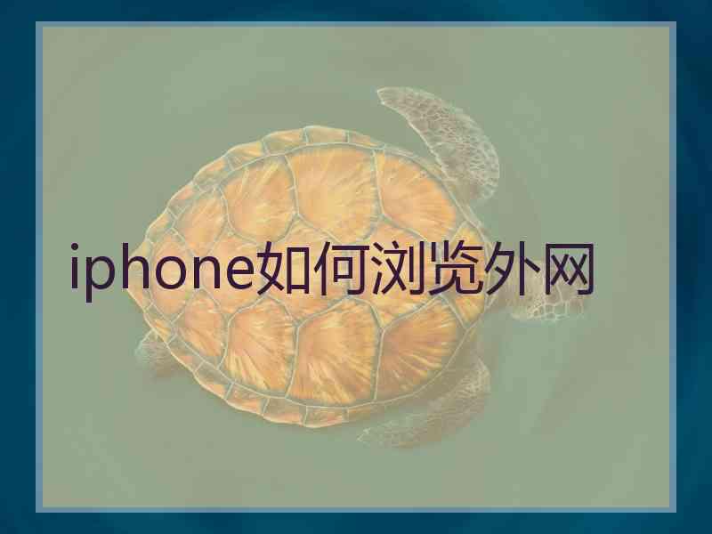 iphone如何浏览外网