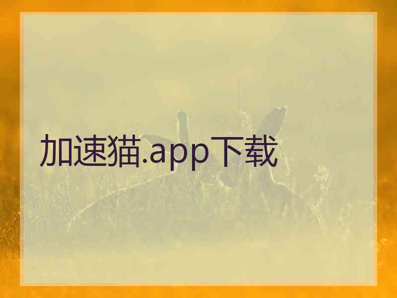 加速猫.app下载