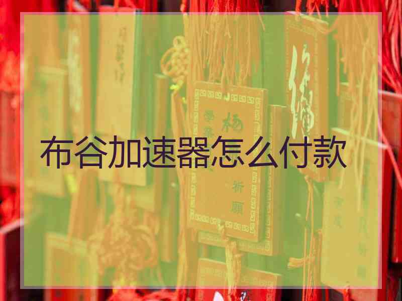 布谷加速器怎么付款