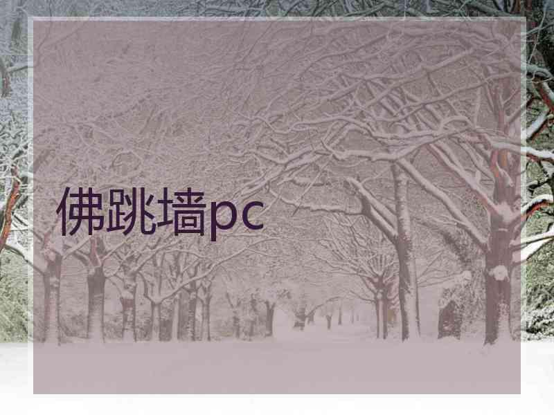 佛跳墙pc