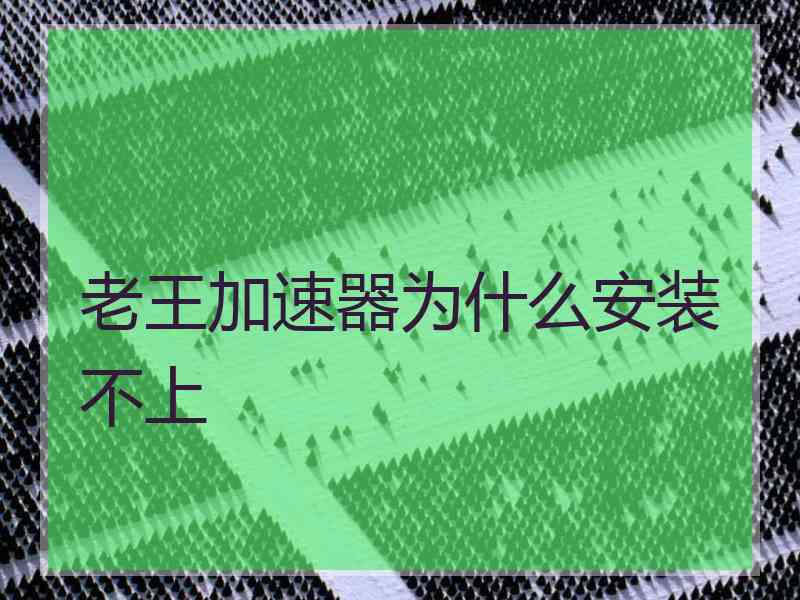 老王加速器为什么安装不上