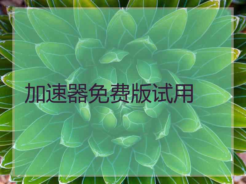 加速器免费版试用