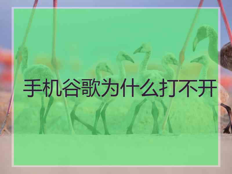 手机谷歌为什么打不开