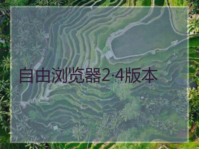 自由浏览器2·4版本