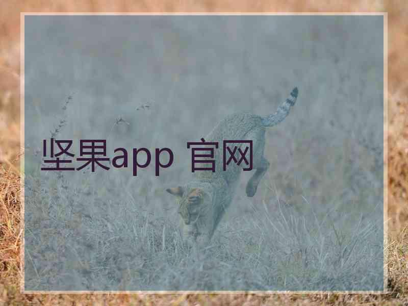 坚果app 官网