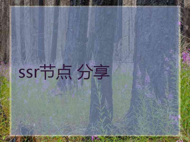 ssr节点 分享