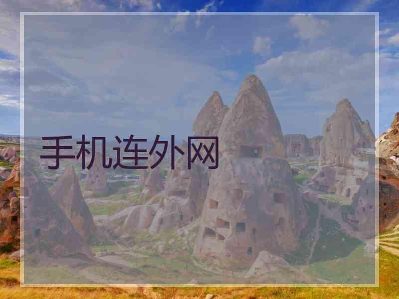 手机连外网