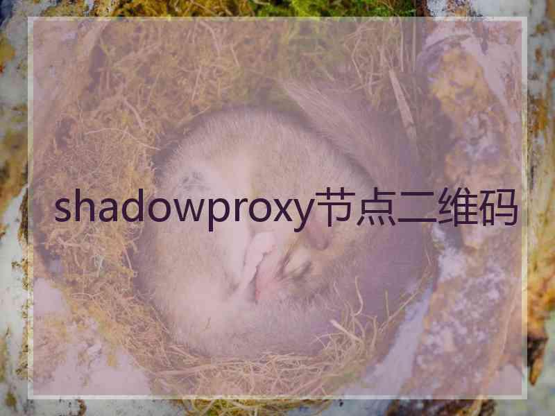 shadowproxy节点二维码