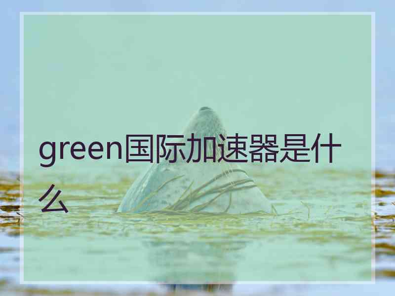 green国际加速器是什么