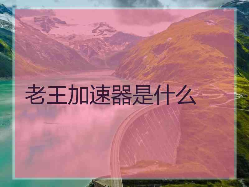 老王加速器是什么