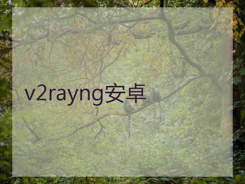 v2rayng安卓