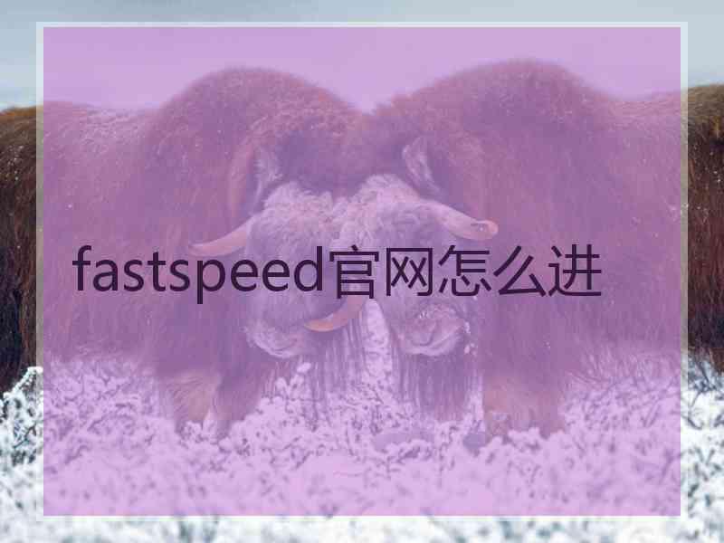 fastspeed官网怎么进