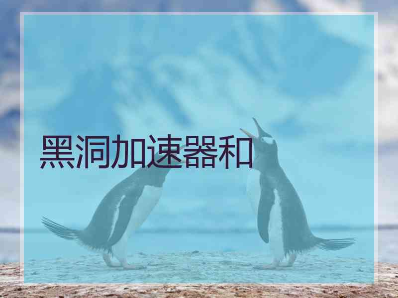 黑洞加速器和