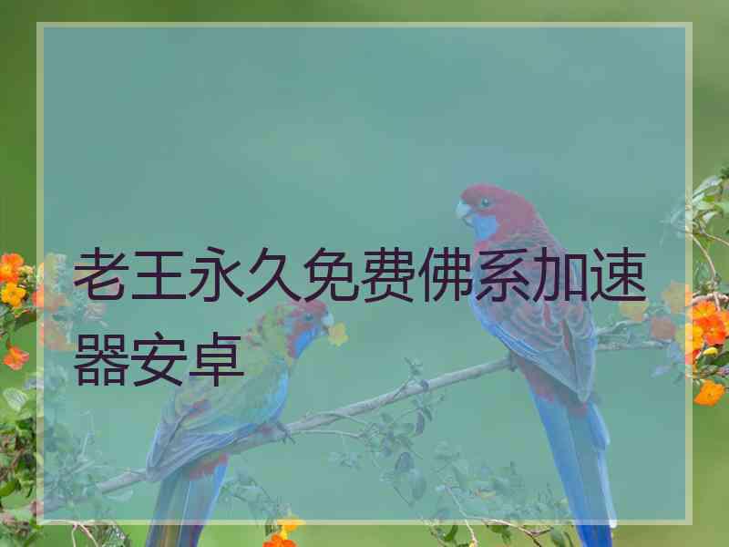 老王永久免费佛系加速器安卓
